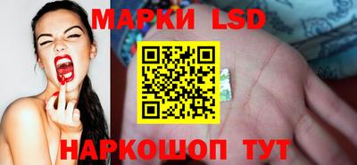 молекула духа Партизанск