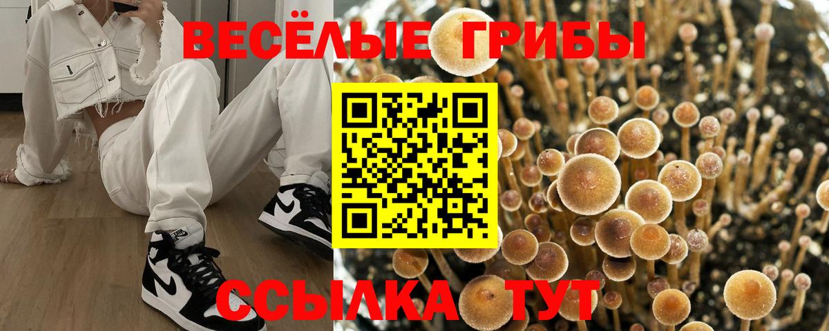 Псилоцибиновые грибы MAGIC MUSHROOMS Спасск-Дальний